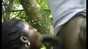 Black Ebony Couple Enjoys Passionate Anal Fucking