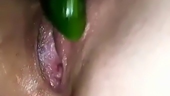 Amateurs And Professionals Explore Pleasure With A Cucumber